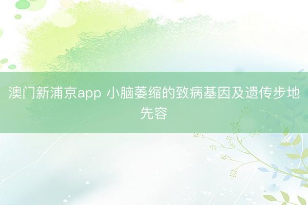 澳门新浦京app 小脑萎缩的致病基因及遗传步地先容